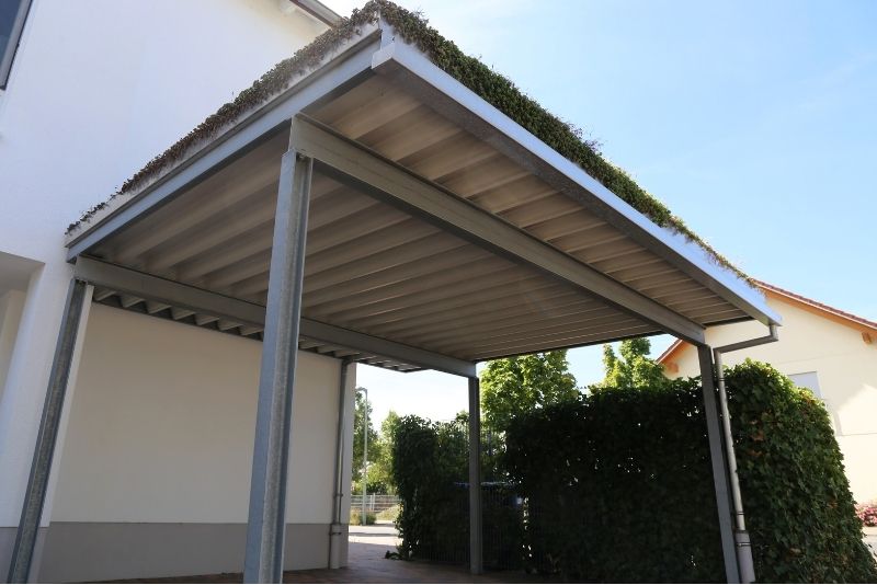 steel carport Newcastle image with a plants on the side and on the roof